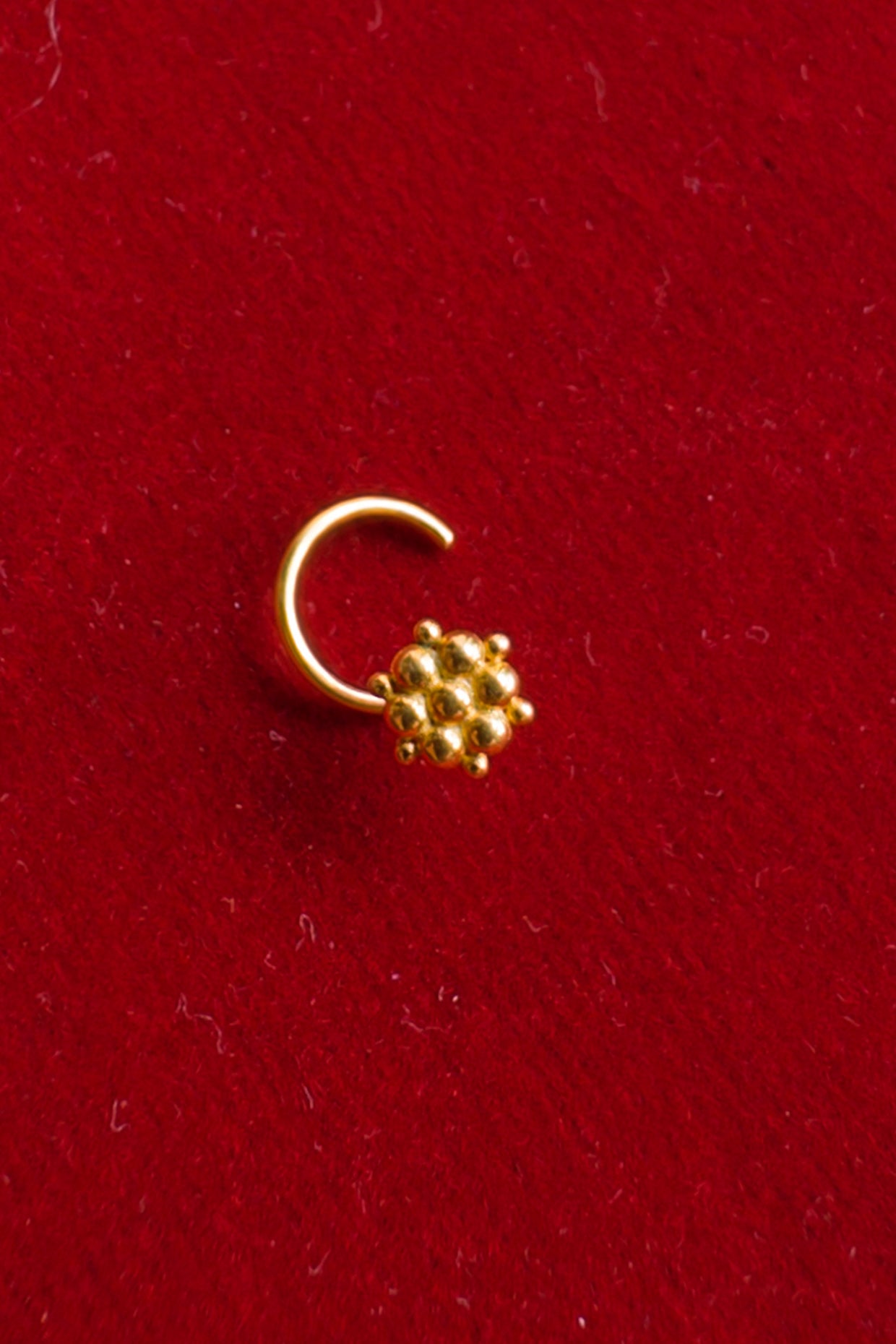 Tara Nosepin 18k Gold Plated