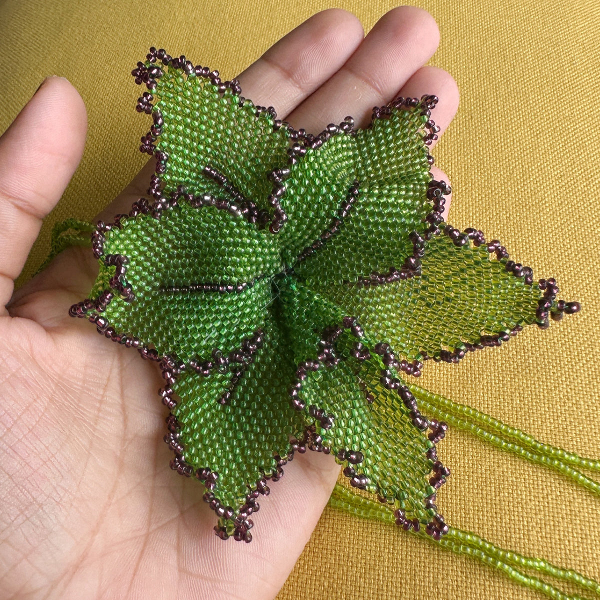 Green Dancing Lady Orchid