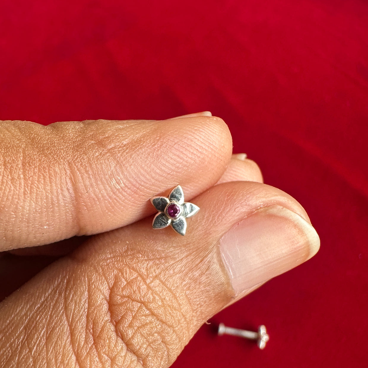 Malar Studs