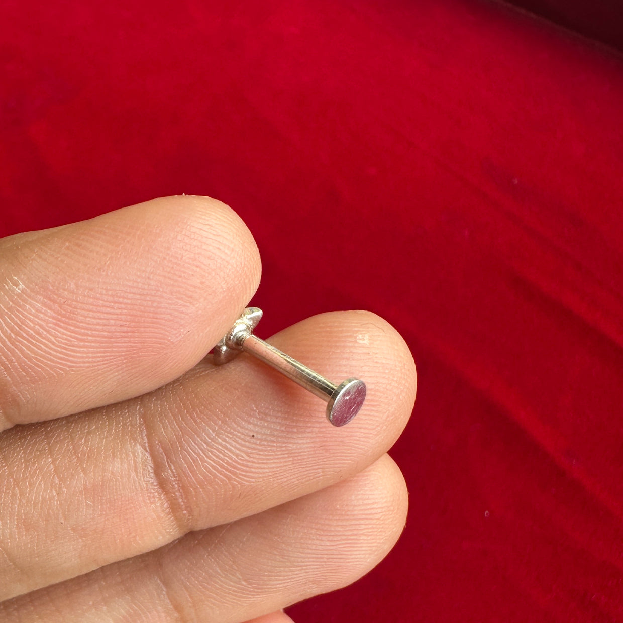 Malar Studs