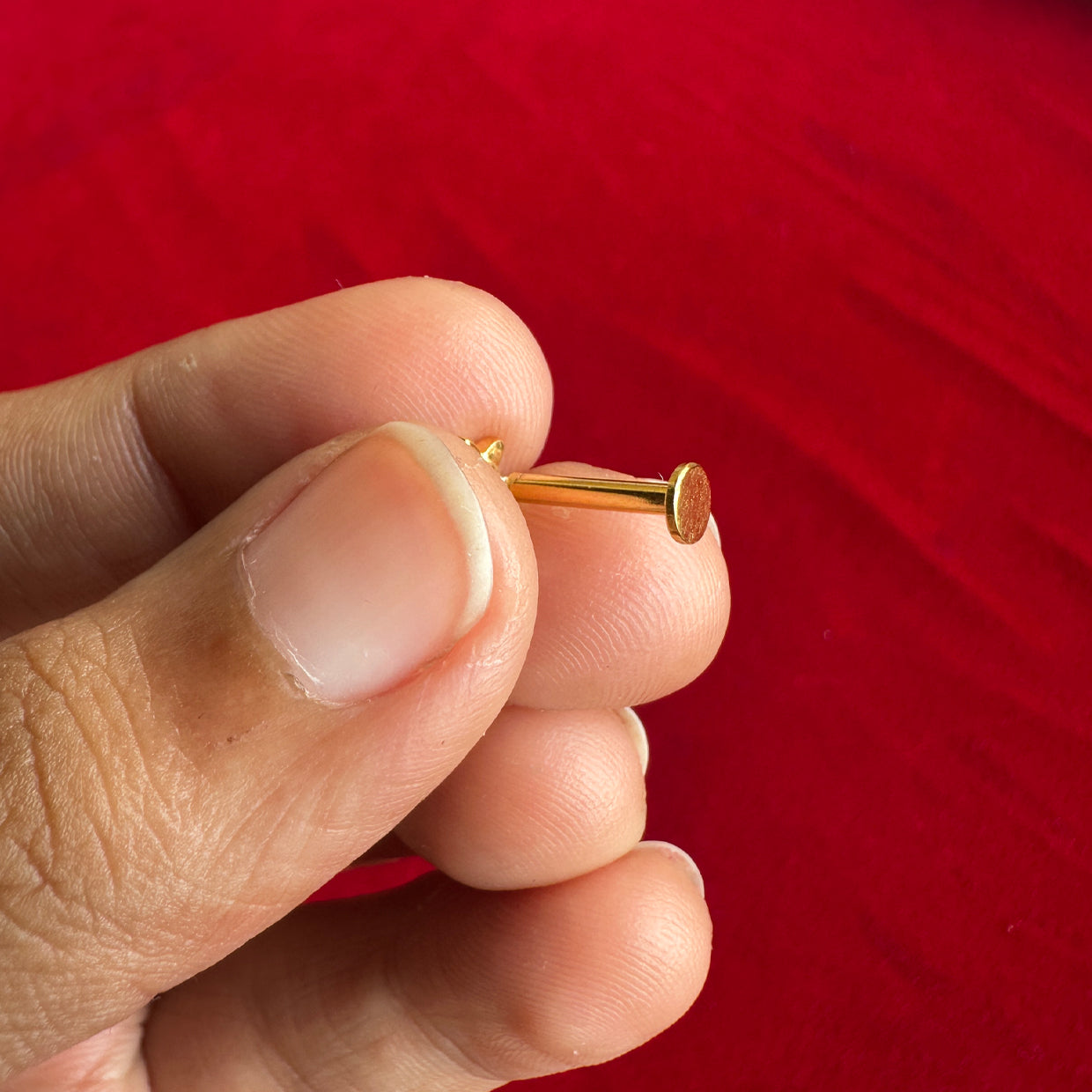 Malar Studs